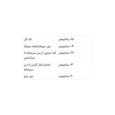 پالتو زنانه زمستانه آستر دار رزالنت نمای جلو